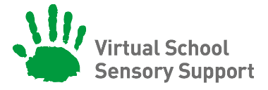Virtual School for Sensory Support
