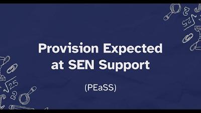 SEN Self serve - PEaSS