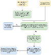 A flowchart describing the transition process for schools to follow