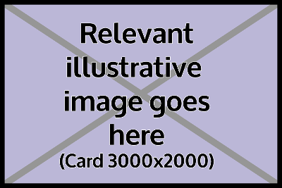 Wireframe image